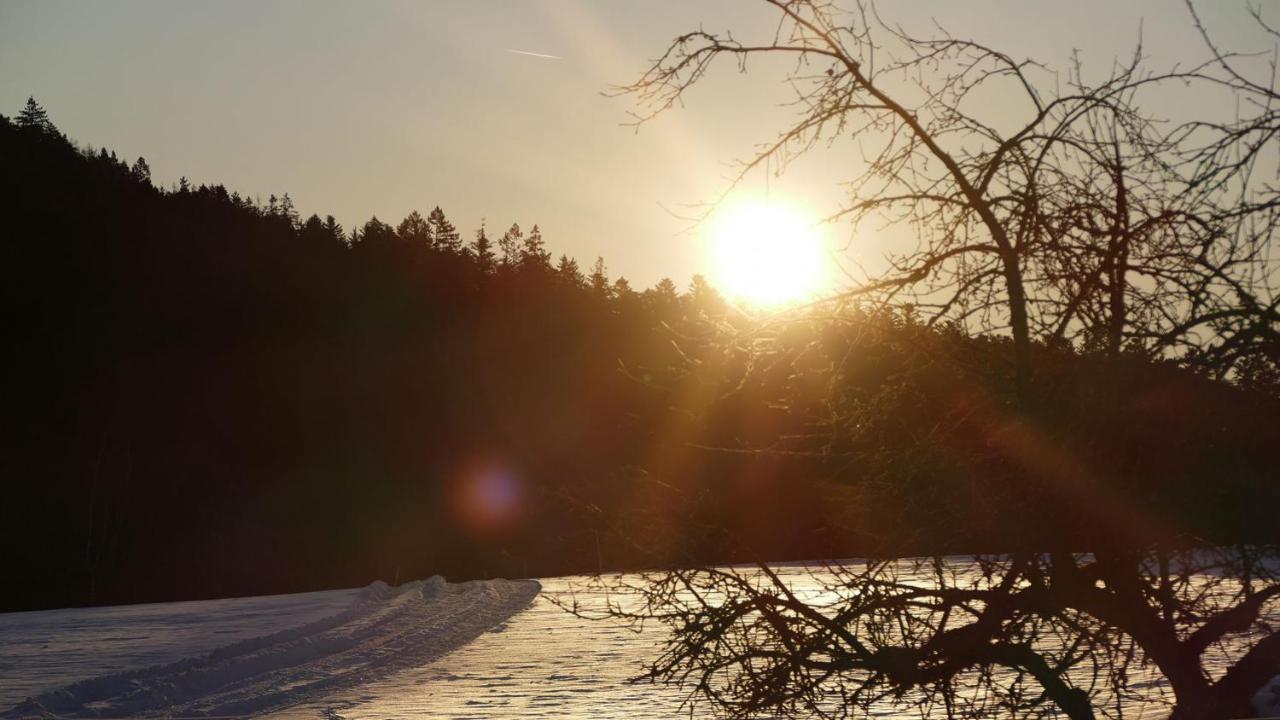Oeko-Landhotel Basler Hof Lauterbach  Exteriör bild