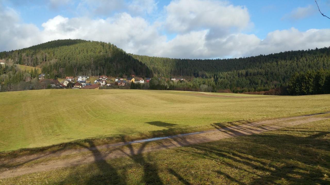 Oeko-Landhotel Basler Hof Lauterbach  Exteriör bild