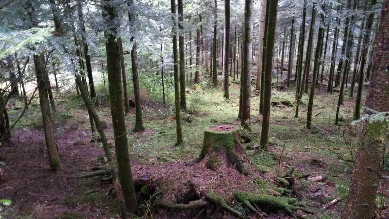 Oeko-Landhotel Basler Hof Lauterbach  Exteriör bild
