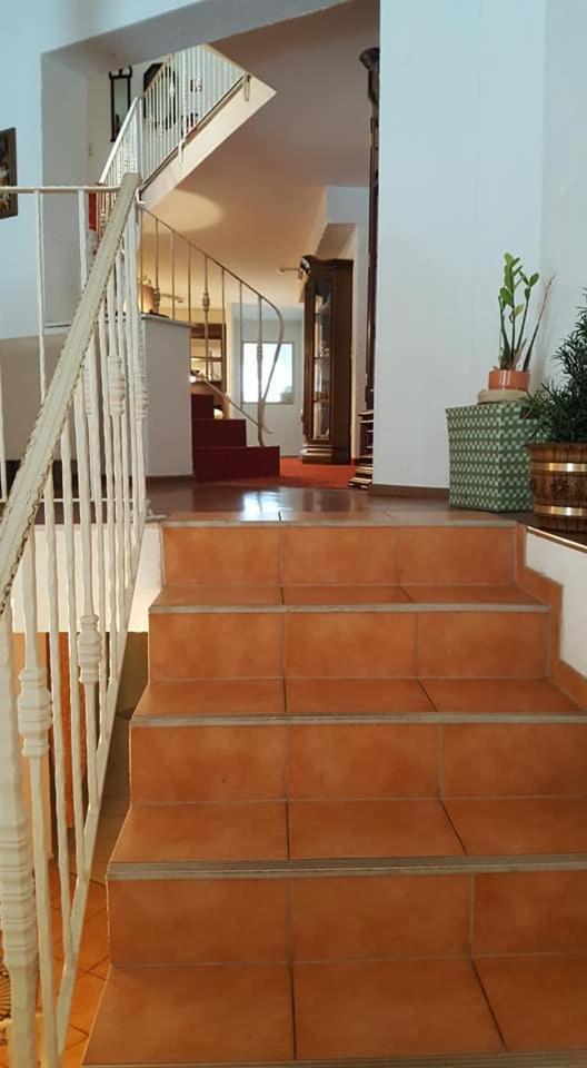 Oeko-Landhotel Basler Hof Lauterbach  Exteriör bild